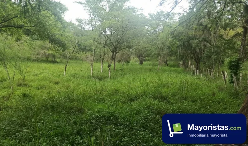Finca ganadera de 6 ha en Simacota, Santander