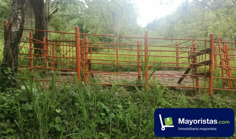 Finca ganadera de 6 ha en Simacota, Santander — foto 10 de 10