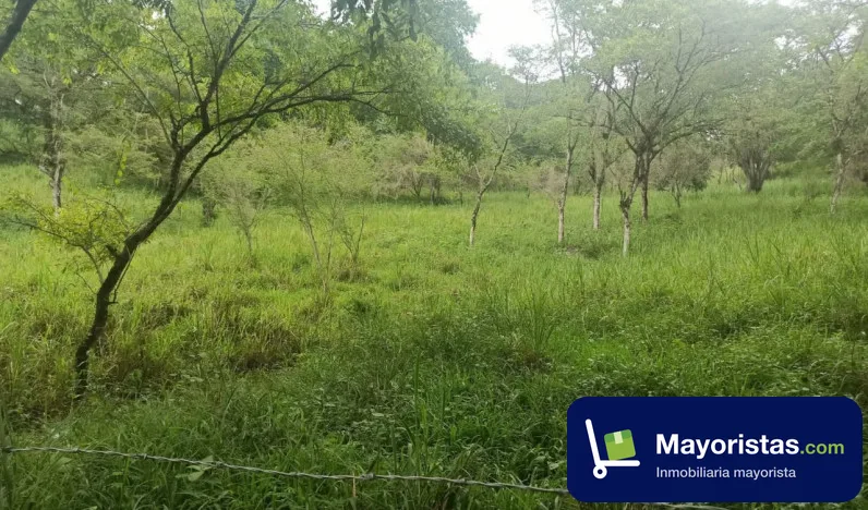 Finca ganadera de 6 ha en Simacota, Santander — foto 9 de 10