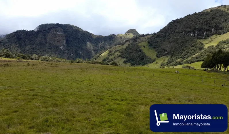 Finca ganadera de 200 ha en Herveo, Tolima — foto 9 de 10