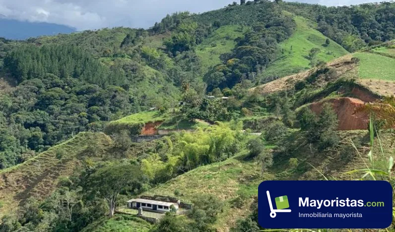 Finca ganadera de 30 ha en Frontino, Antioquia