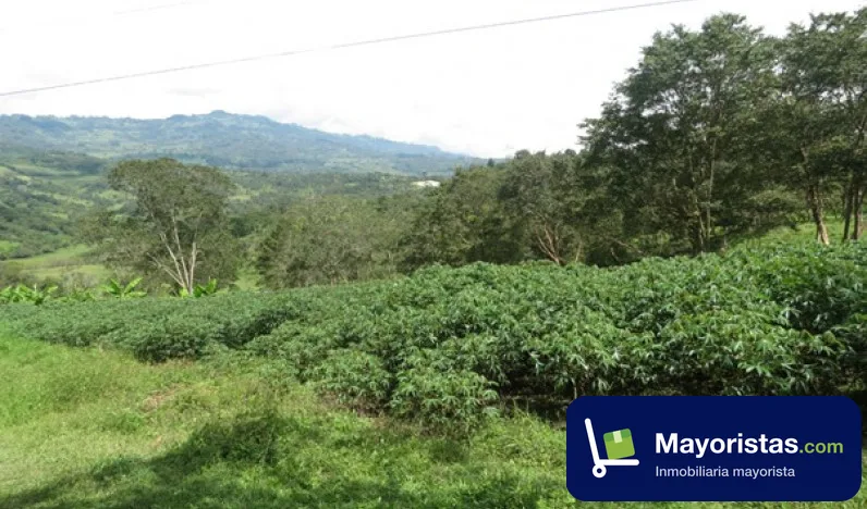Finca ganadera de 6 ha en Vélez, Santander