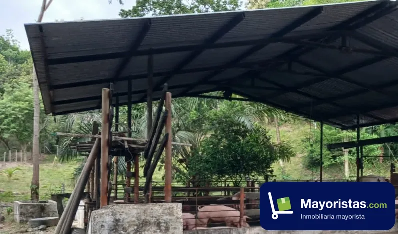 Finca agrícola de 2,5 ha en Puerto Boyacá, Boyacá — foto 9 de 10