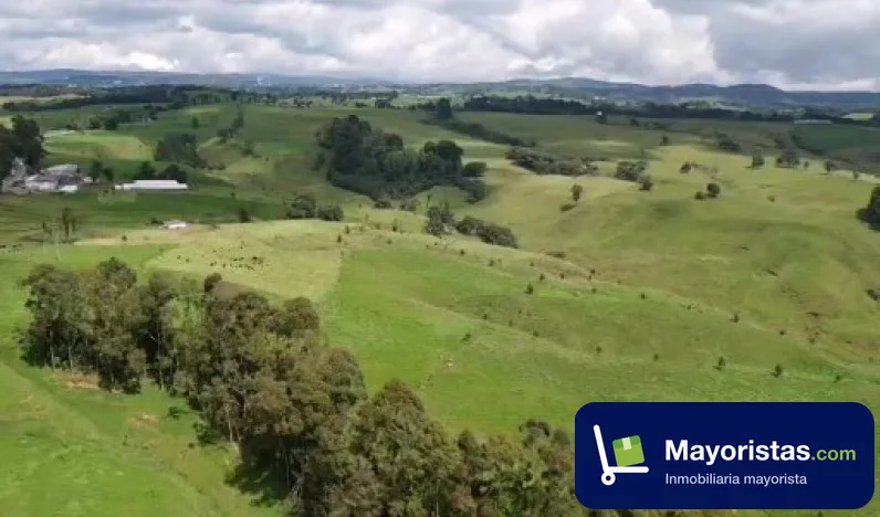 Finca ganadera de 166,4 ha en Santa Rosa de Osos, Antioquia — foto 10 de 10