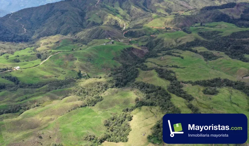Finca ganadera de 304 ha en San José de La Montaña, Antioquia