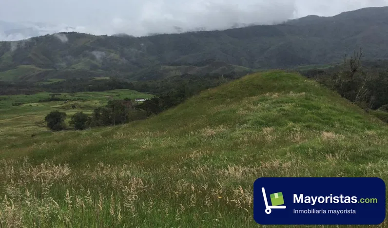 Finca ganadera de 304 ha en San José de La Montaña, Antioquia — foto 10 de 10