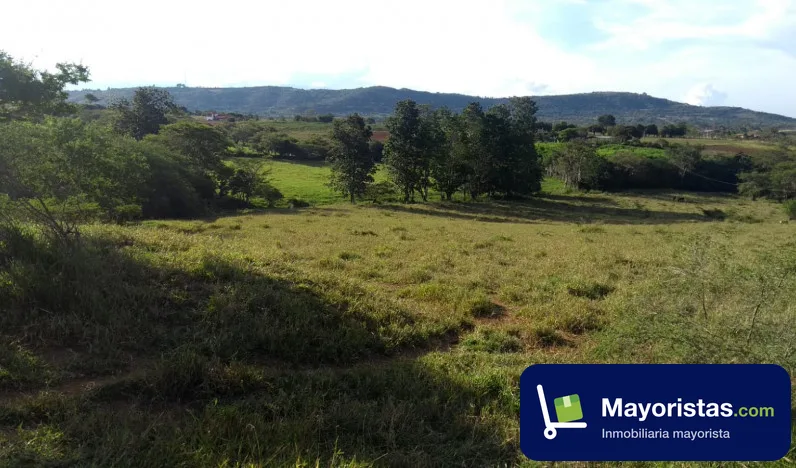 Finca ganadera de 6 ha en Villanueva, Santander