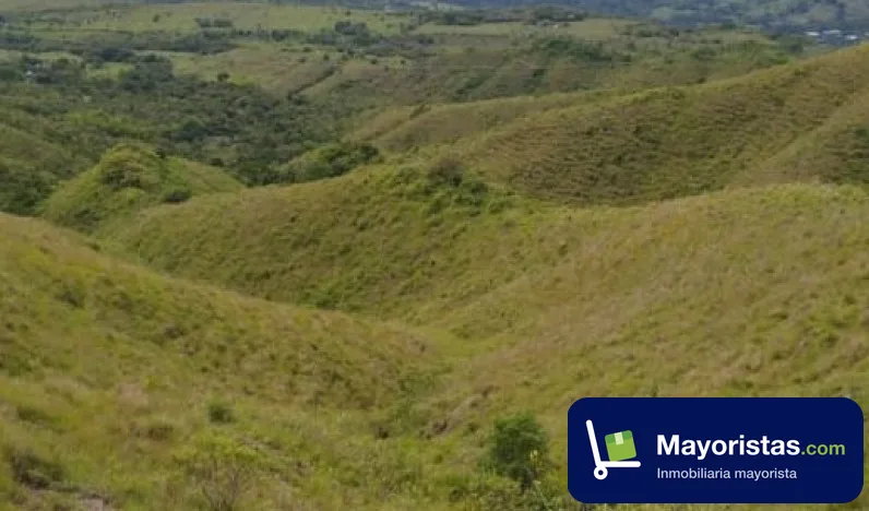 Finca ganadera de 123,5 ha en Rovira, Tolima