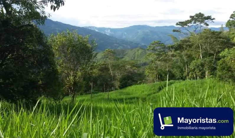 Finca ganadera de 57,6 ha en Pauna, Boyacá