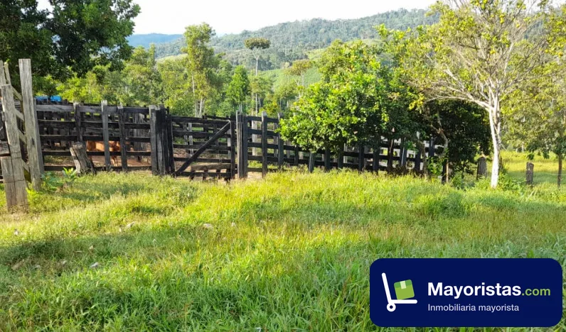 Finca ganadera de 73 ha en Tierralta, Córdoba — foto 9 de 9