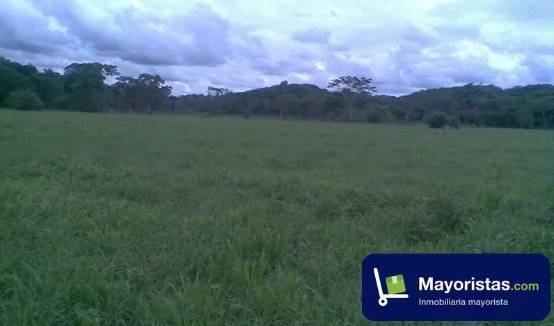 Finca ganadera de 3.100 ha en Córdoba, Bolívar