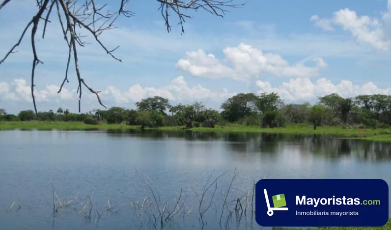 Finca ganadera de 2.000 ha en Córdoba, Bolívar