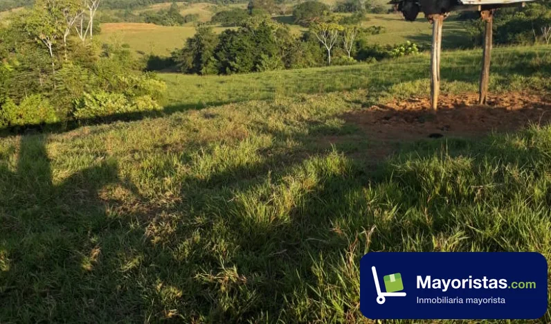 Finca ganadera de 4.200 ha en Caucasia, Antioquia — foto 9 de 10