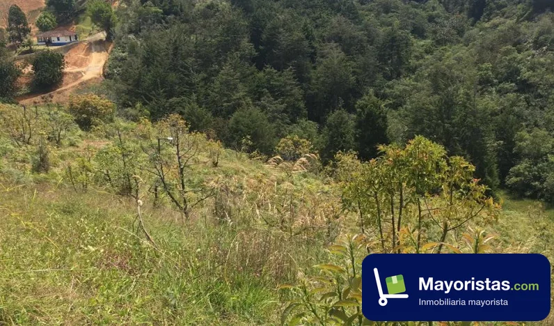 Finca ganadera de 2 ha en Rionegro, Antioquia