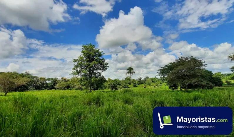 Finca ganadera de 187 ha en Montería, Córdoba