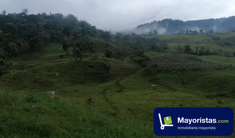 Finca ganadera de 51,2 ha en Pauna, Boyacá