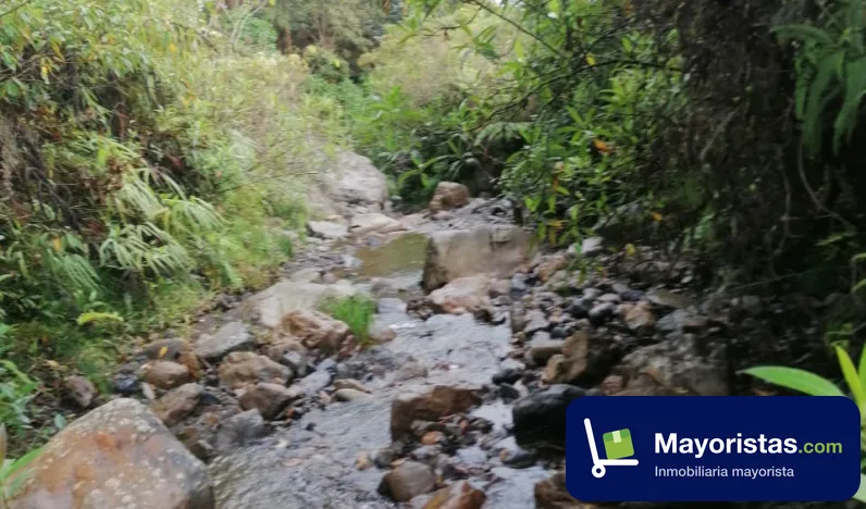 Finca ganadera de 51,2 ha en Pauna, Boyacá — foto 10 de 10