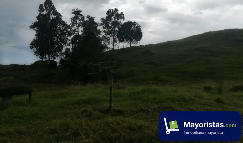 Finca ganadera de 51,2 ha en Pauna, Boyacá — foto 9 de 10