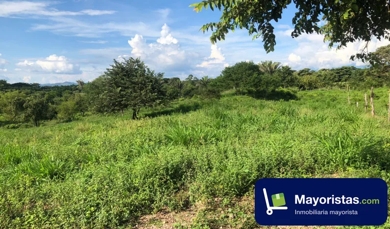 Finca ganadera de 187 ha en La Gloria, Cesar — foto 9 de 10