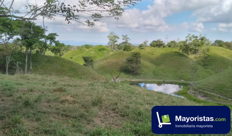 Finca ganadera de 200 ha en Puerto Boyacá, Boyacá