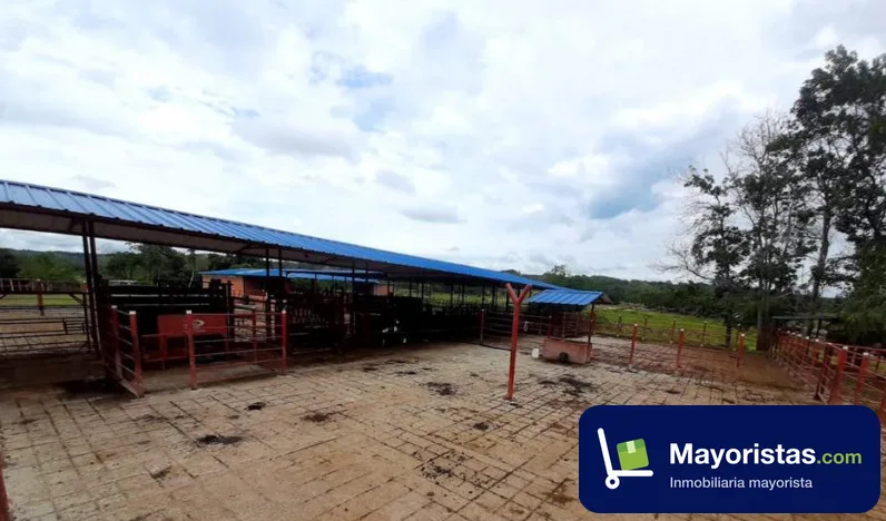 Finca ganadera de 465 ha en Puerto Parra, Santander — foto 10 de 10