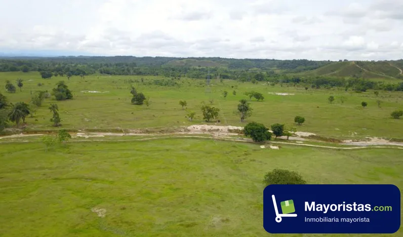Finca ganadera de 465 ha en Puerto Parra, Santander — foto 9 de 10