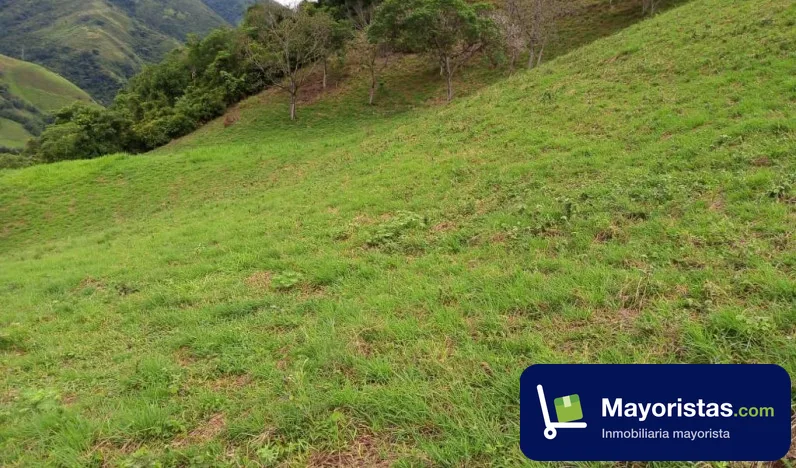 Finca ganadera de 145,3 ha en Ciudad Bolívar, Antioquia — foto 10 de 10
