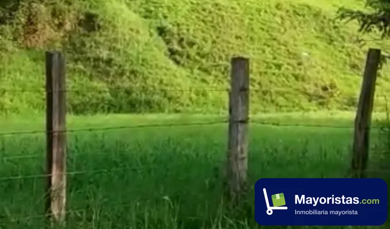 Finca ganadera de 130 ha en Caracolí, Antioquia
