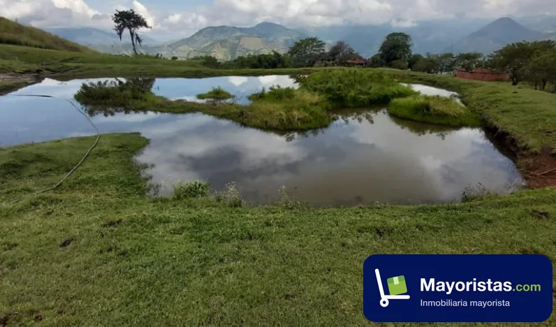 Finca ganadera de 128 ha en La Merced, Caldas