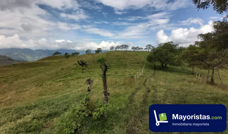 Finca ganadera de 128 ha en La Merced, Caldas — foto 9 de 9