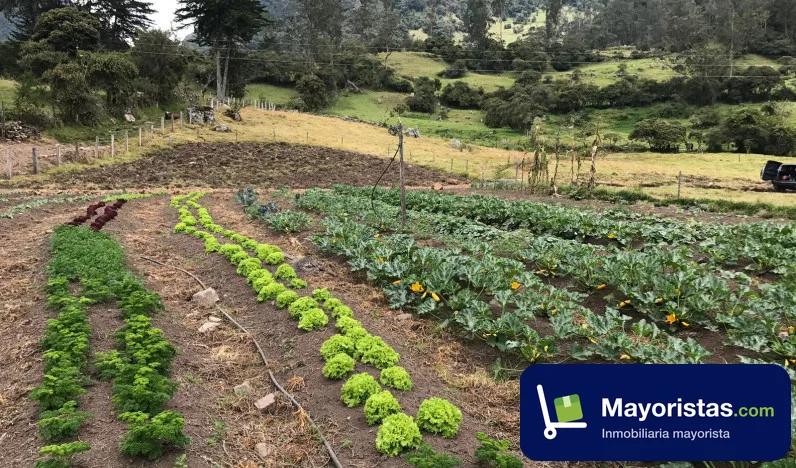 Finca agrícola de 4,2 ha en Gachetá, Cundinamarca