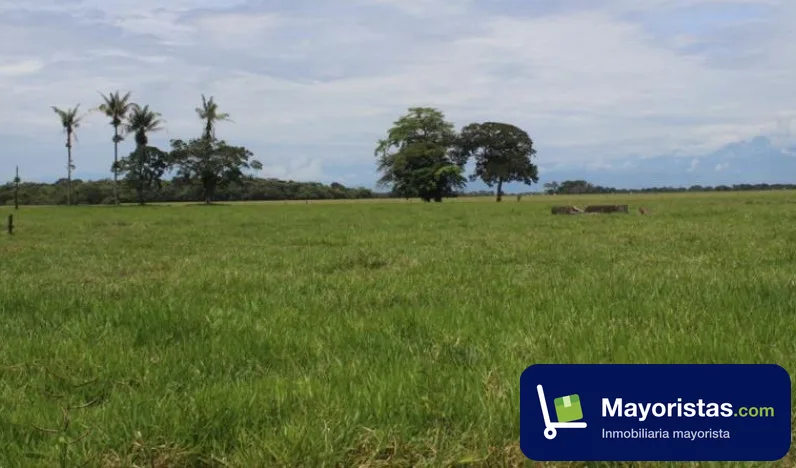 Finca ganadera de 396 ha en Villavicencio, Meta