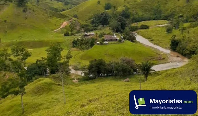 Finca ganadera de 470 ha en Vegachí, Antioquia
