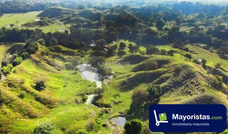 Finca ganadera de 162,6 ha en La Dorada, Caldas