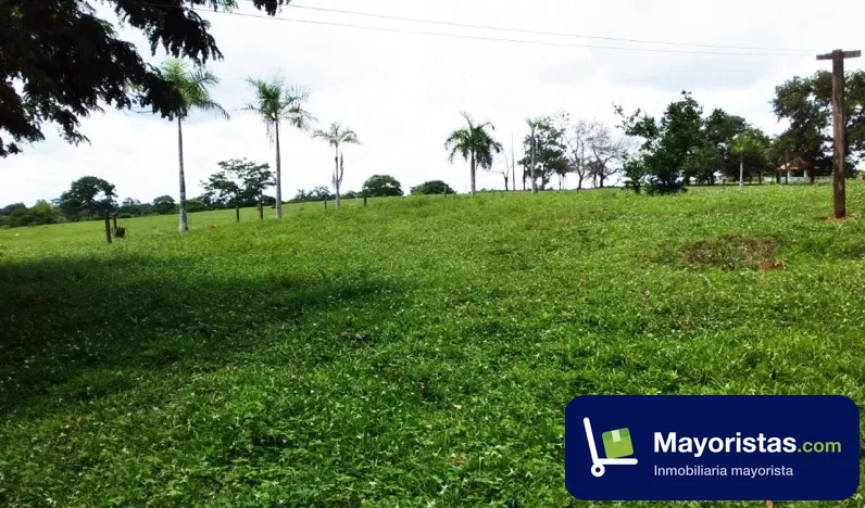 Finca ganadera de 485 ha en Ayapel, Córdoba