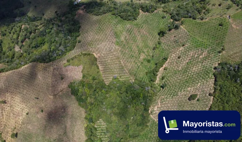 Finca agrícola de 39,7 ha en Santo Domingo, Antioquia