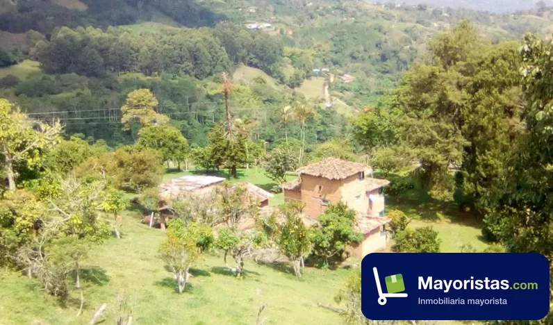 Finca cafetera de 21,8 ha en Fredonia, Antioquia — foto 10 de 10