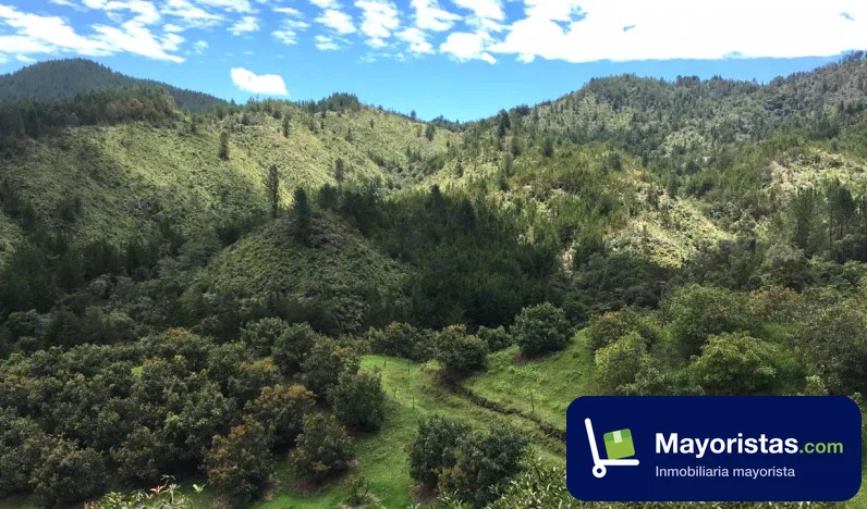 Finca agrícola de 13 ha en El Retiro, Antioquia