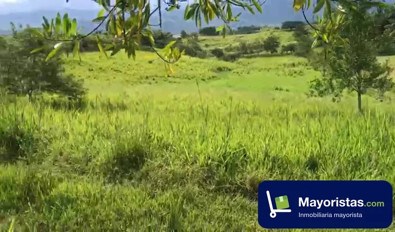 Finca ganadera de 35,2 ha en La Virginia, Risaralda — foto 9 de 9