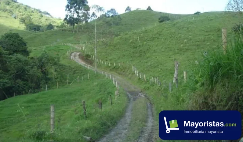 Finca ganadera de 59,5 ha en Santa Rosa de Cabal, Risaralda