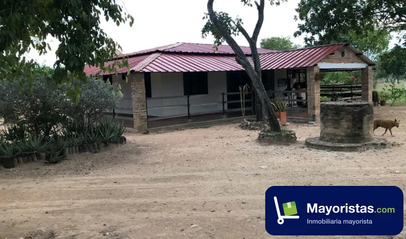 Finca ganadera de 18,5 ha en Gamarra, Cesar — foto 10 de 10