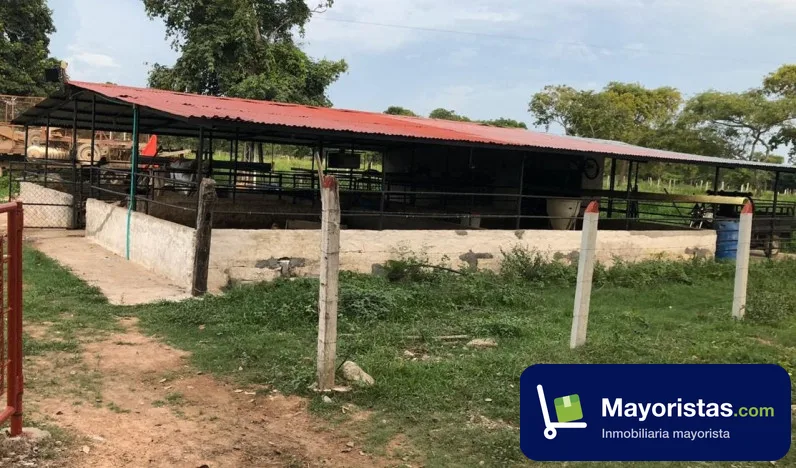 Finca ganadera de 18,5 ha en Gamarra, Cesar — foto 9 de 10