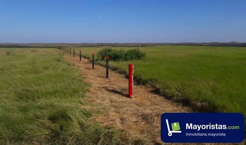 Finca ganadera de 5.000 ha en Puerto López, Meta