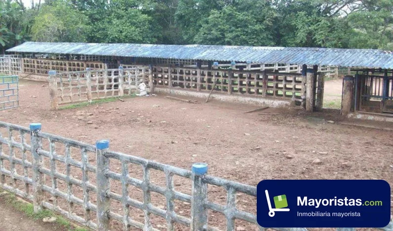 Finca ganadera de 5.000 ha en Puerto López, Meta — foto 9 de 10