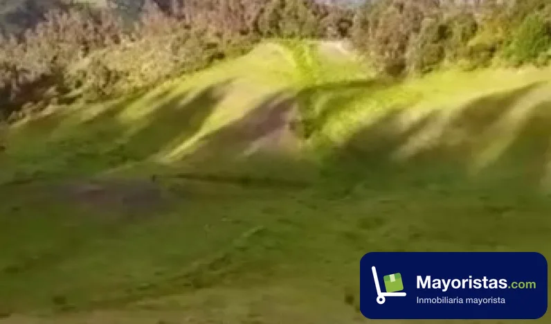 Finca ganadera de 11,8 ha en Boyacá, Boyacá