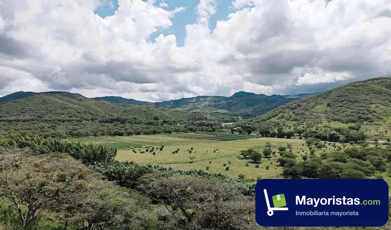 Finca ganadera de 6,7 ha en El Dovio, Valle del Cauca