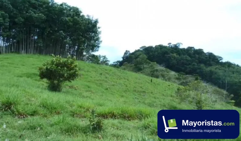 Finca ganadera de 20 ha en Tarazá, Antioquia
