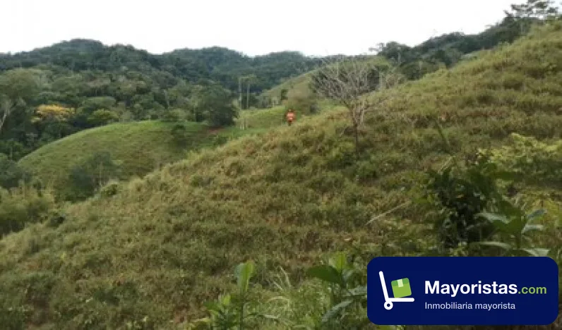 Finca ganadera de 20 ha en Tarazá, Antioquia — foto 9 de 10