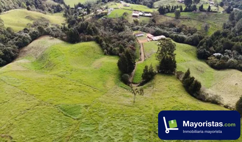 Finca ganadera de 7,4 ha en Guarne, Antioquia