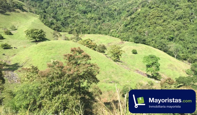 Finca ganadera de 176 ha en Santa Bárbara, Antioquia